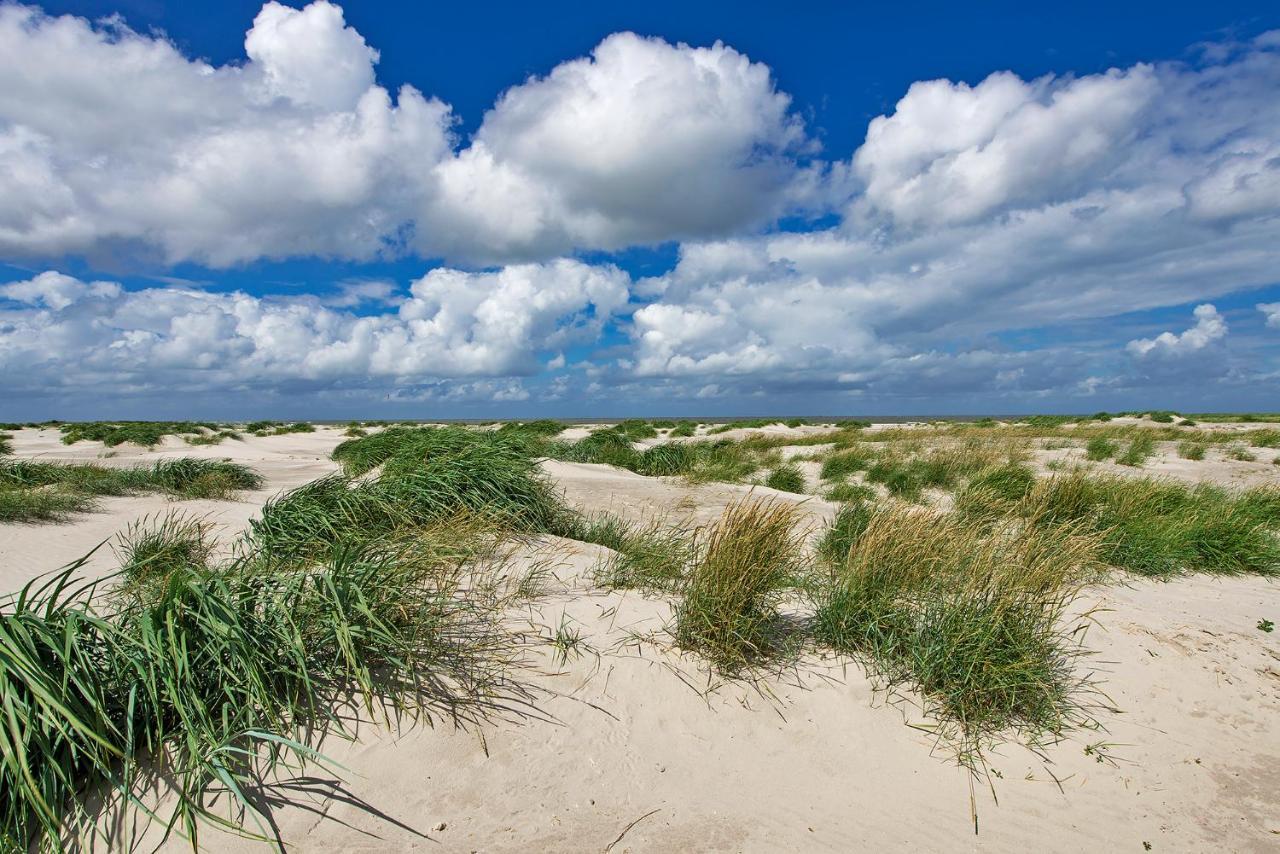 Appartement Duinzee Texel De Koog  Exterior foto